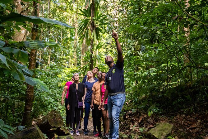 St Lucia Ultimate 3 Package: Aerial Tram, Zipline and Hiking - The Sum Up