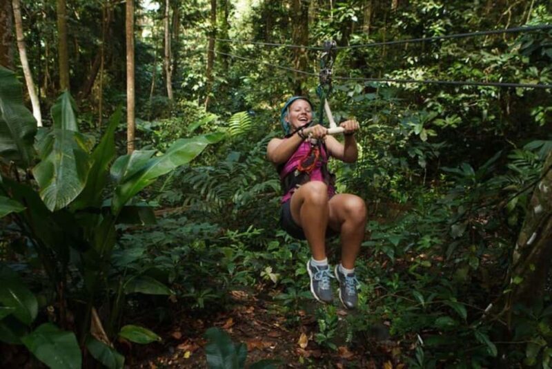 St. Lucia: Zip Line, Aerial Tram, and Hiking Tour - Summary: Who Is This Tour Best For?