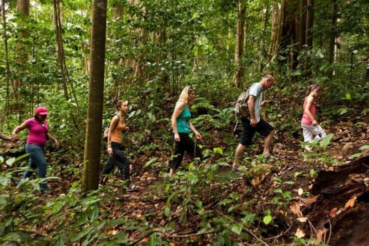 St. Lucia: Zip Line, Aerial Tram, and Hiking Tour - Tour Overview