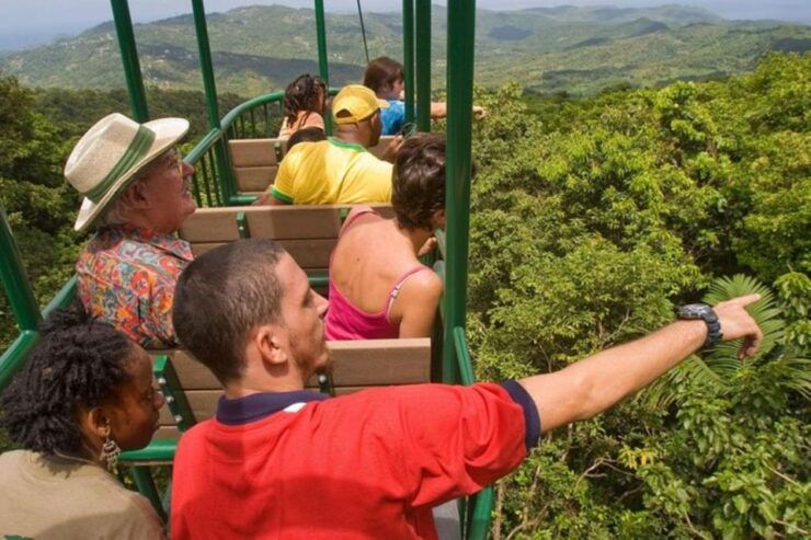 St. Lucia: Zip Line, Aerial Tram, and Hiking Tour - Activity Details