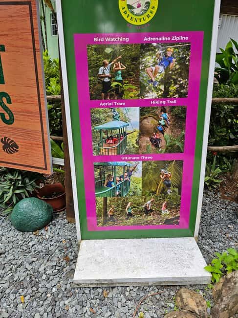 St. Lucia: Zipline Adventure Cruise Port and Hotel Pickup - An In-Depth Look at the Zipline Experience