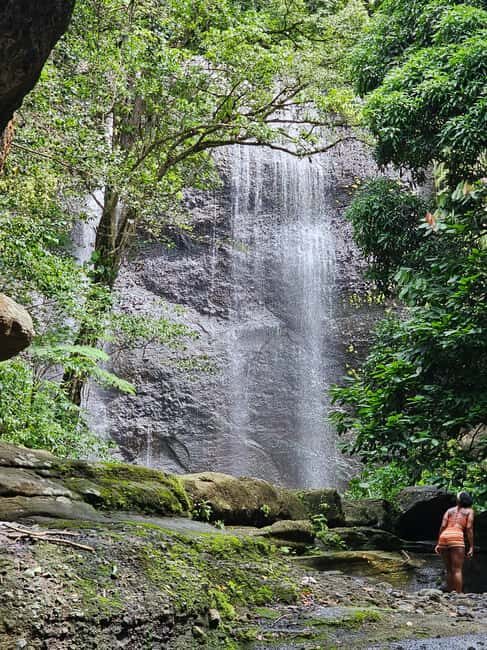 St. Lucia: Zipline Adventure Cruise Port and Hotel Pickup - The Value and What You’re Getting