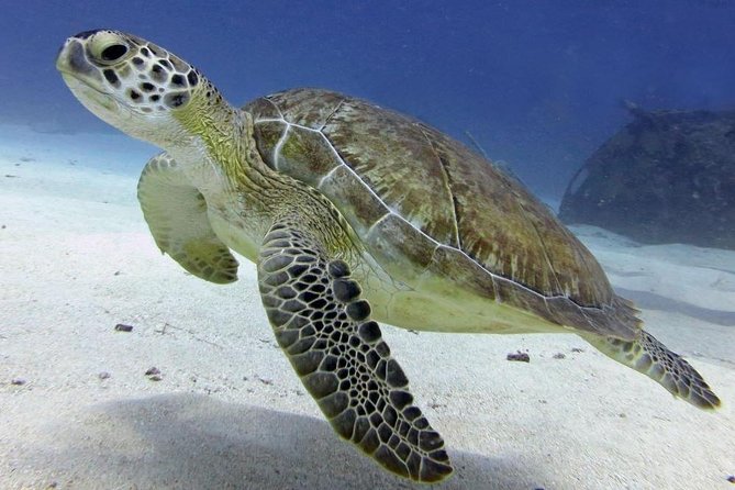 St Maarten Discover Scuba - Positive Reviews About Staff and Instructors