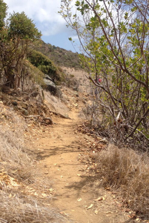 St. Maarten: Guana Bay Coastal Hike - Experience Highlights