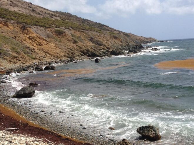 St. Maarten: Guana Bay Coastal Hike - Included Amenities
