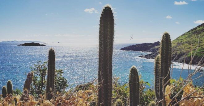 St. Maarten: Guana Bay Coastal Hike - Meeting Point and Preparation