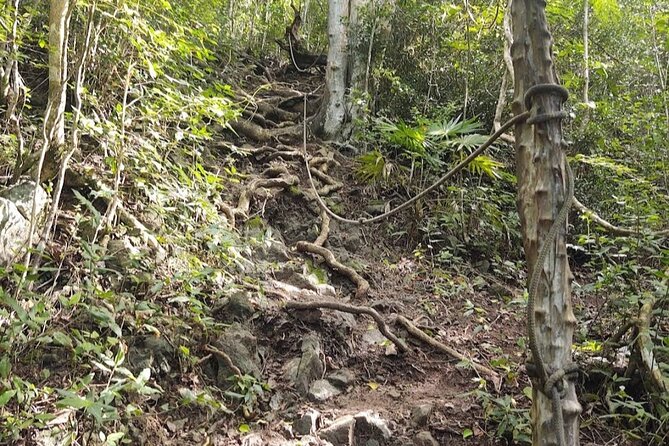 St Maarten Hike Tour - Tour Overview