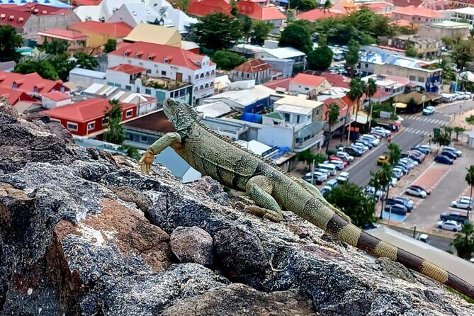 St. Maarten/Saint Martin Island Tour - A Close Look at the Tour Itinerary