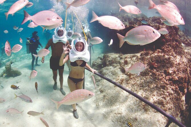 St Maarten SeaTrek and Snorkeling Adventure - Authentic Insights from Reviews