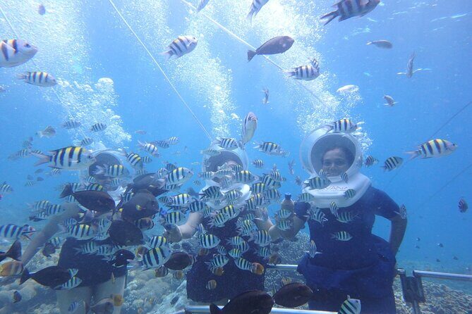 St Maarten SeaTrek and Snorkeling Adventure - The Sum Up