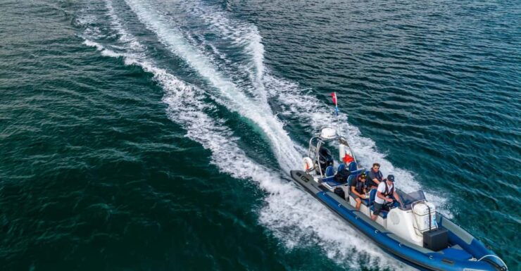 St Mawes: Two Hour RIB Tour - Good To Know