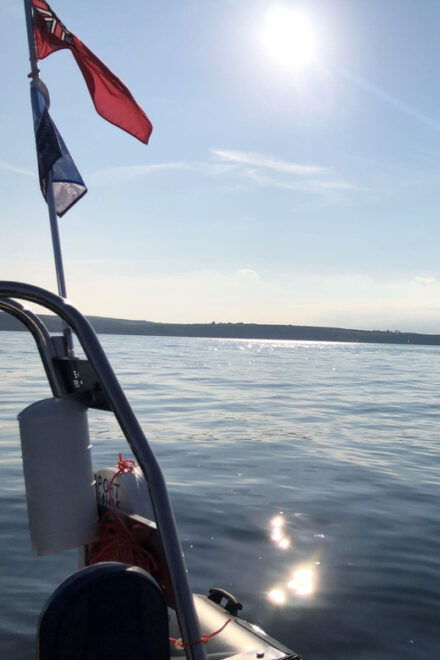 St Mawes: Two Hour RIB Tour - Wildlife and Insights