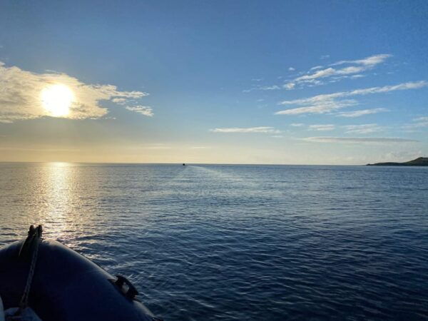 St Mawes: Two Hour RIB Tour - Frequently Asked Questions