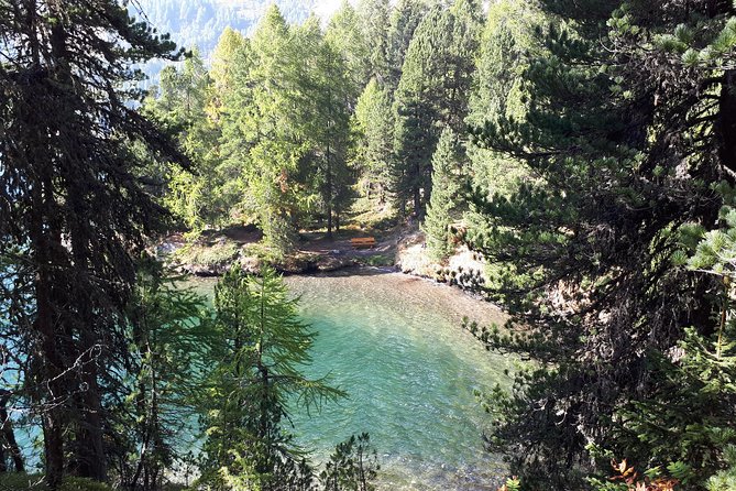 St Moritz Private Guided Panorama Hike - Reviews and Ratings