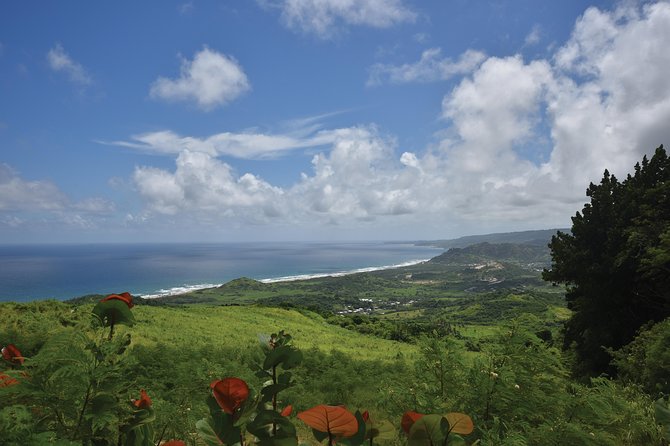 St. Nicholas Abbey Heritage Train Ride in Barbados - Additional Activities at St. Nicholas Abbey