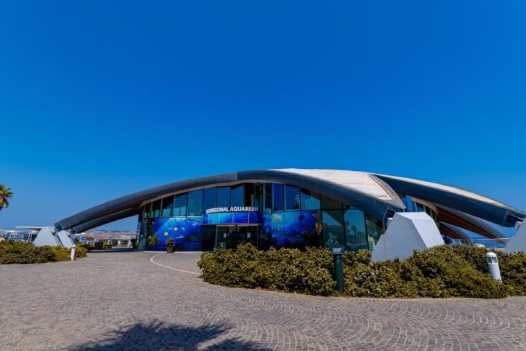 St Paul's Bay: Malta National Aquarium Entry Ticket - The Experience from Visitor Feedback