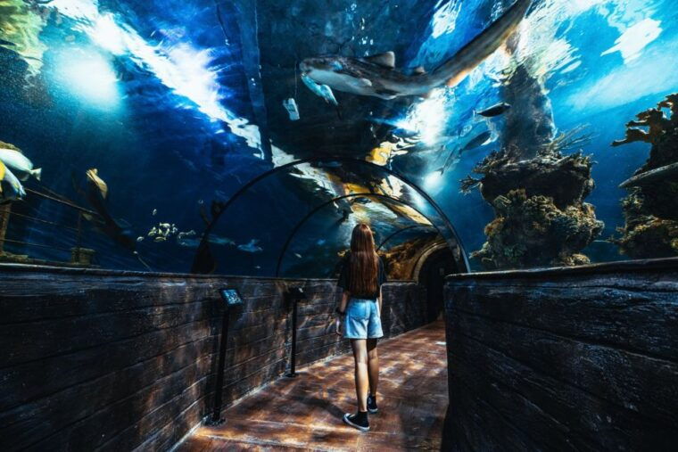 St Paul's Bay: Malta National Aquarium Entry Ticket - Price and Value