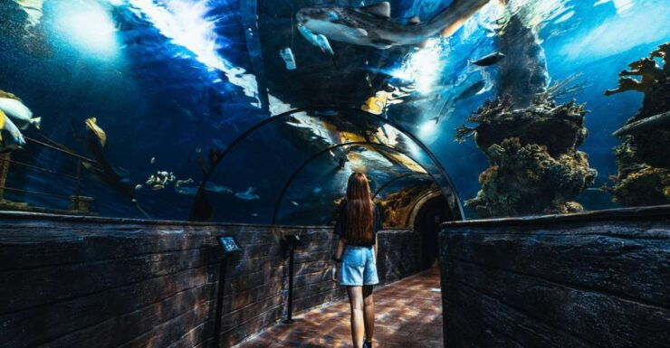 St Paul's Bay: Malta National Aquarium Entry Ticket - Ticket Details