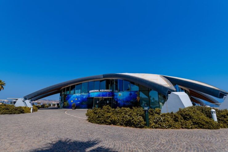 St Paul's Bay: Malta National Aquarium Entry Ticket - Experience Highlights