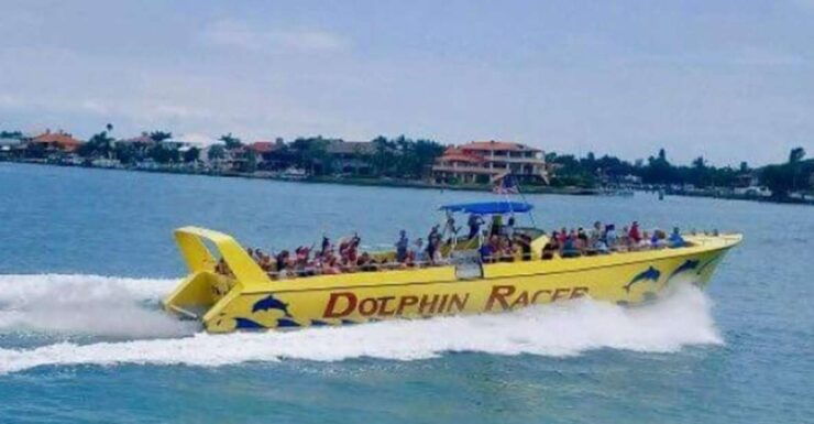 St. Pete Beach: Dolphin Racer Cruise by Speedboat - Activity Details