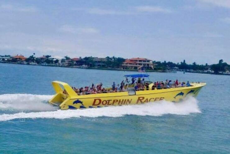 St. Pete Beach: Dolphin Racer Cruise by Speedboat - Experience Highlights