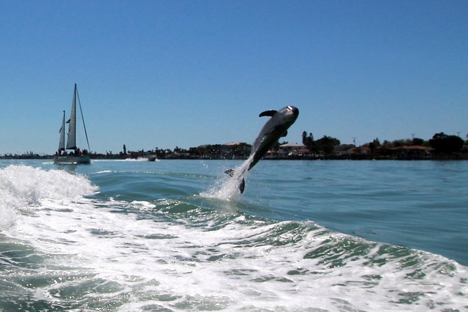 St. Pete Beach Dolphin Racer Speedboat Adventure - Inclusions and Logistics