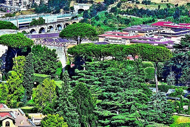 St. Peters Basilica and Papal Grottoes Guided Tour - End Point