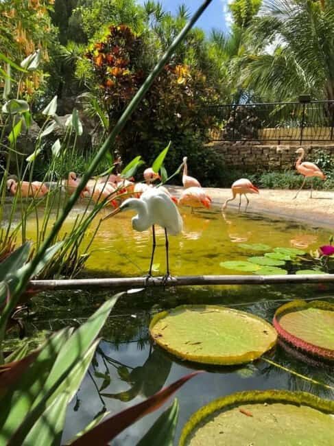 St. Petersburg: Eco Segway Tour with Sunken Gardens - Frequently Asked Questions