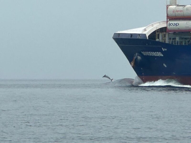 St. Petersburg, FL: 3-Hour Eco Tour with Island Hopping - The Cost and Value