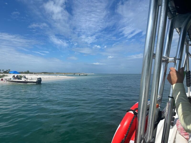 St. Petersburg, FL: 3-Hour Eco Tour with Island Hopping - Who Should Consider This Tour?