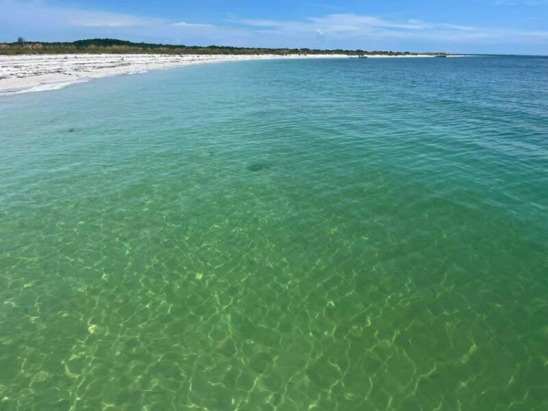 St. Petersburg, FL: 4-Hour Private Beach Tour - Exploring the Gulf’s Hidden Gems