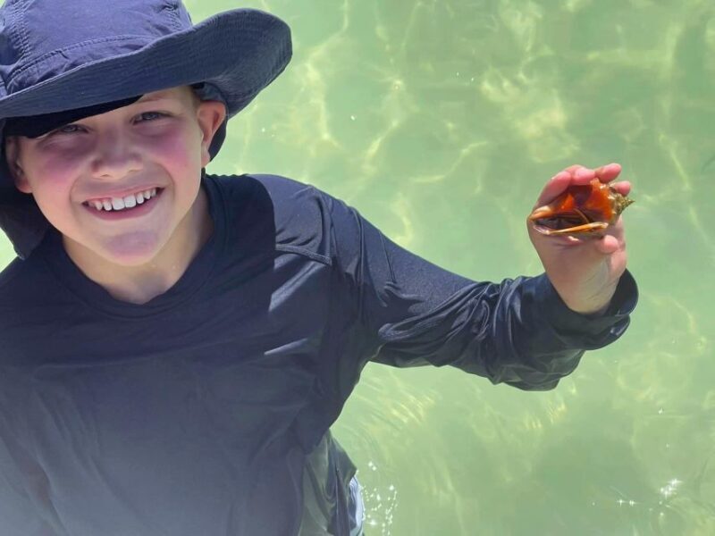 St. Petersburg, FL: 4-Hour Private Beach Tour - Who Would Love This Tour?