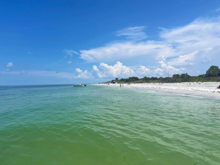 St. Petersburg, FL: Private Florida Gulf 6-Hour Boat Tour - Activity Details and Options