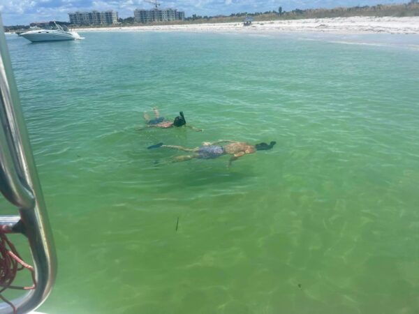 St. Petersburg, FL: Private Florida Gulf 6-Hour Boat Tour - Customize Your Experience