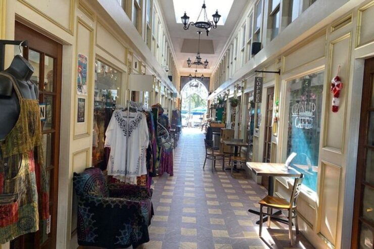 St. Petersburg, Fl: Sightseeing Tour in Electric Cart - Eco-Friendly Exploration