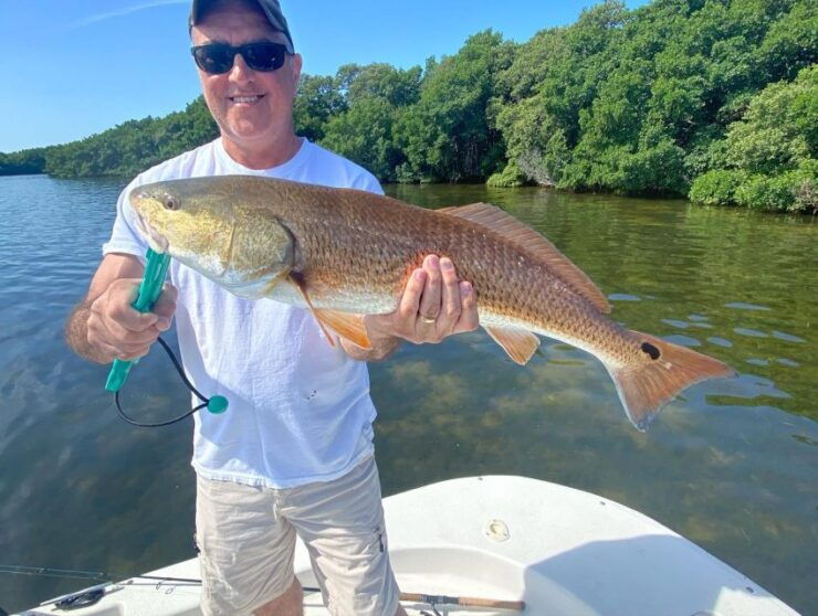 St. Petersburg, FL: Tampa Bay Private Inshore Fishing Trip - Experience