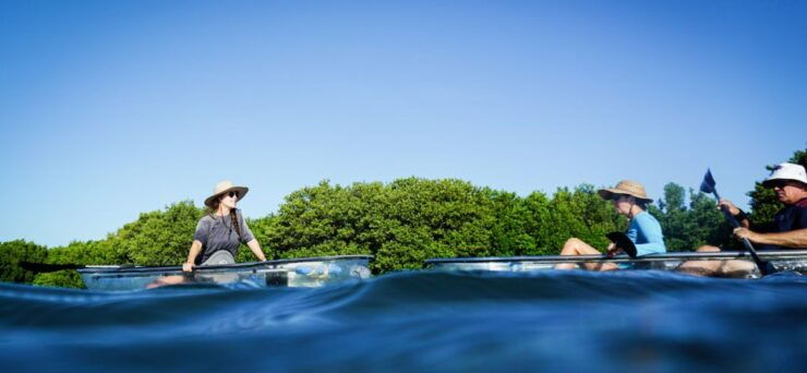 St. Petersburg, FL: Weedon Island Kayak Tour - Tour Details
