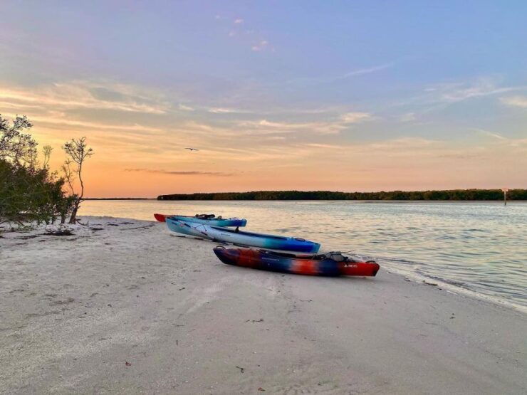 St. Petersburg, FL: Weedon Island Kayak Tour - Tour Highlights