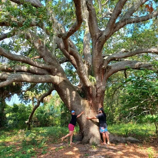 St. Petersburg: Lake Maggiore Bike Tour with Guide - The Sum Up