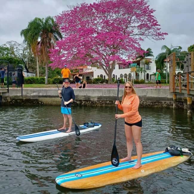 St. Petersburg: Paddle Board Tour with Wildlife Spotting - The Scenic Environment & Wildlife