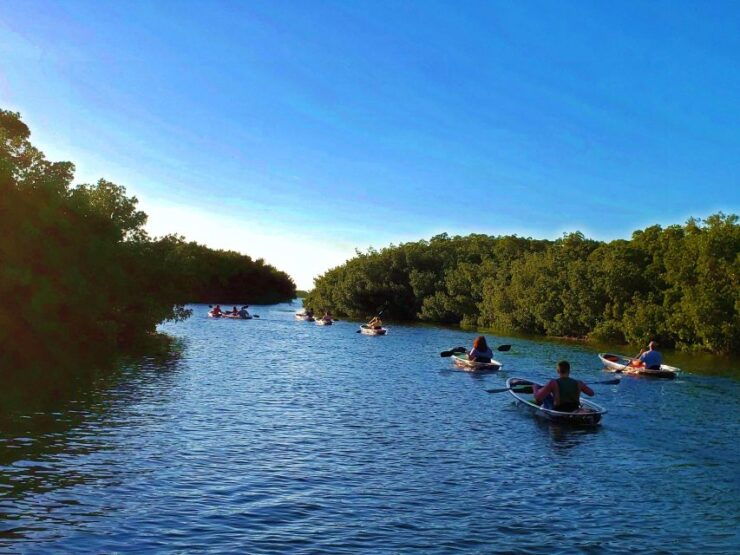 St Petersburg: Shell Key Nature Preserve Clear Kayak Tour - Good To Know