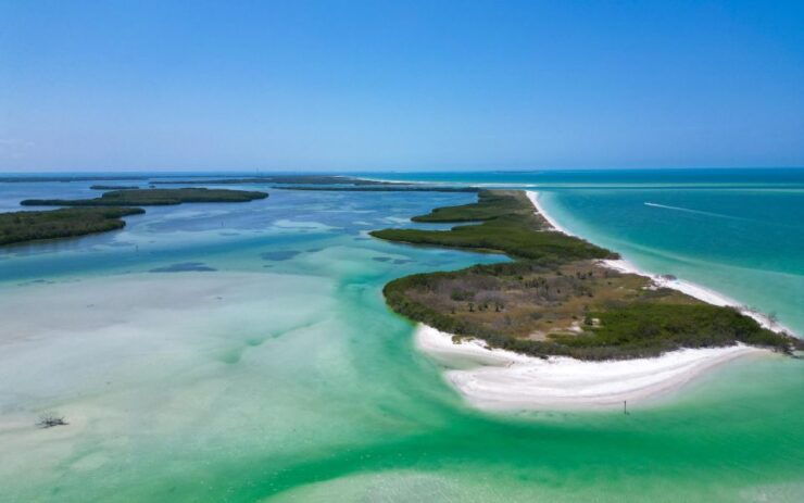 St Petersburg: Shell Key Nature Preserve Clear Kayak Tour - Activity Inclusions