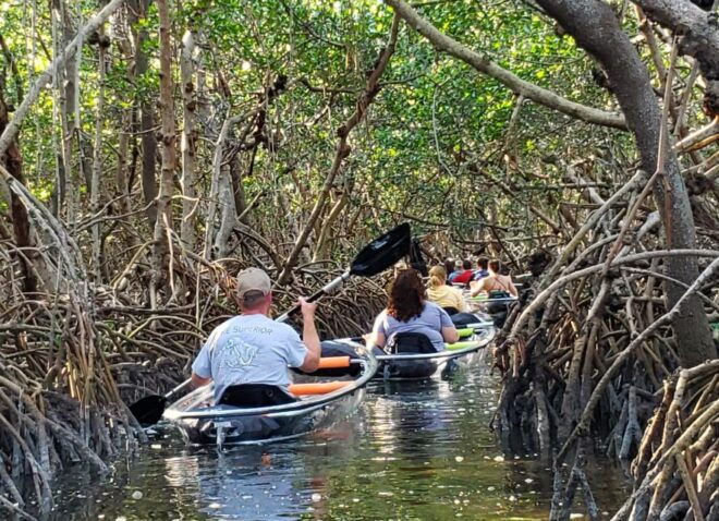 St Petersburg: Shell Key Nature Preserve Clear Kayak Tour - Meeting Point