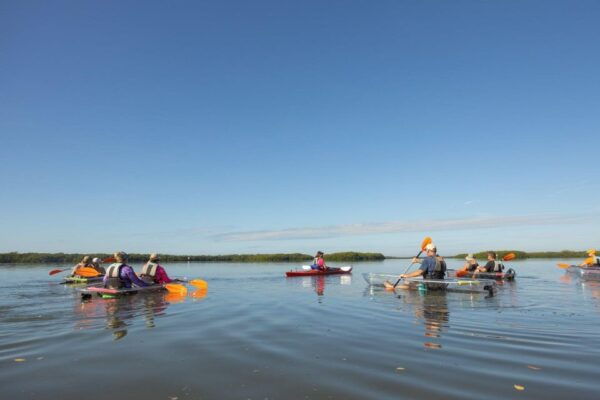 St Petersburg: Shell Key Nature Preserve Clear Kayak Tour - Frequently Asked Questions