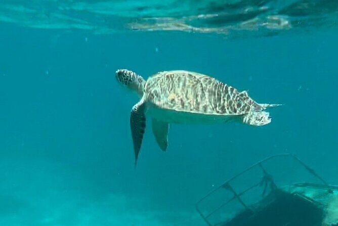 St Thomas - Jeep Tour Customized Itinerary 5hrs - Ease and Practicality