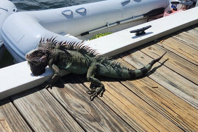 St Thomas - Jeep Tour Customized Itinerary 5hrs - Who Should Book This Tour?