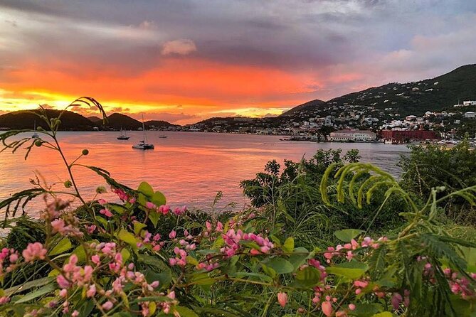 St. Thomas Private Island Tour for up to Six Guests  - Cruz Bay - The Sum Up