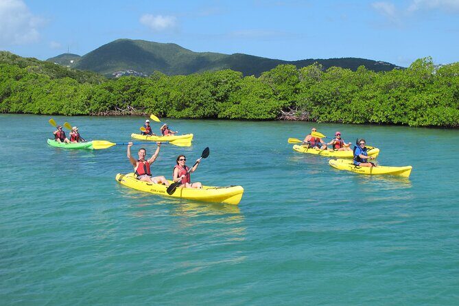 St Thomas Shore Excursion: Mangrove Lagoon Kayak and Snorkel Tour - Intro: What to Expect from the Mangrove Lagoon Kayak and Snorkel Tour