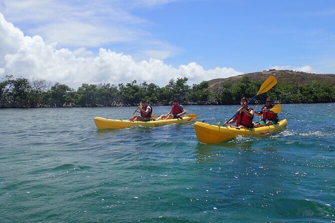 St Thomas Shore Excursion: Mangrove Lagoon Kayak and Snorkel Tour - Final Thoughts: Is It Worth Your Time and Money?