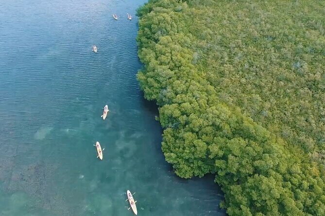 St Thomas Shore Excursion: Mangrove Lagoon Kayak and Snorkel Tour - FAQs